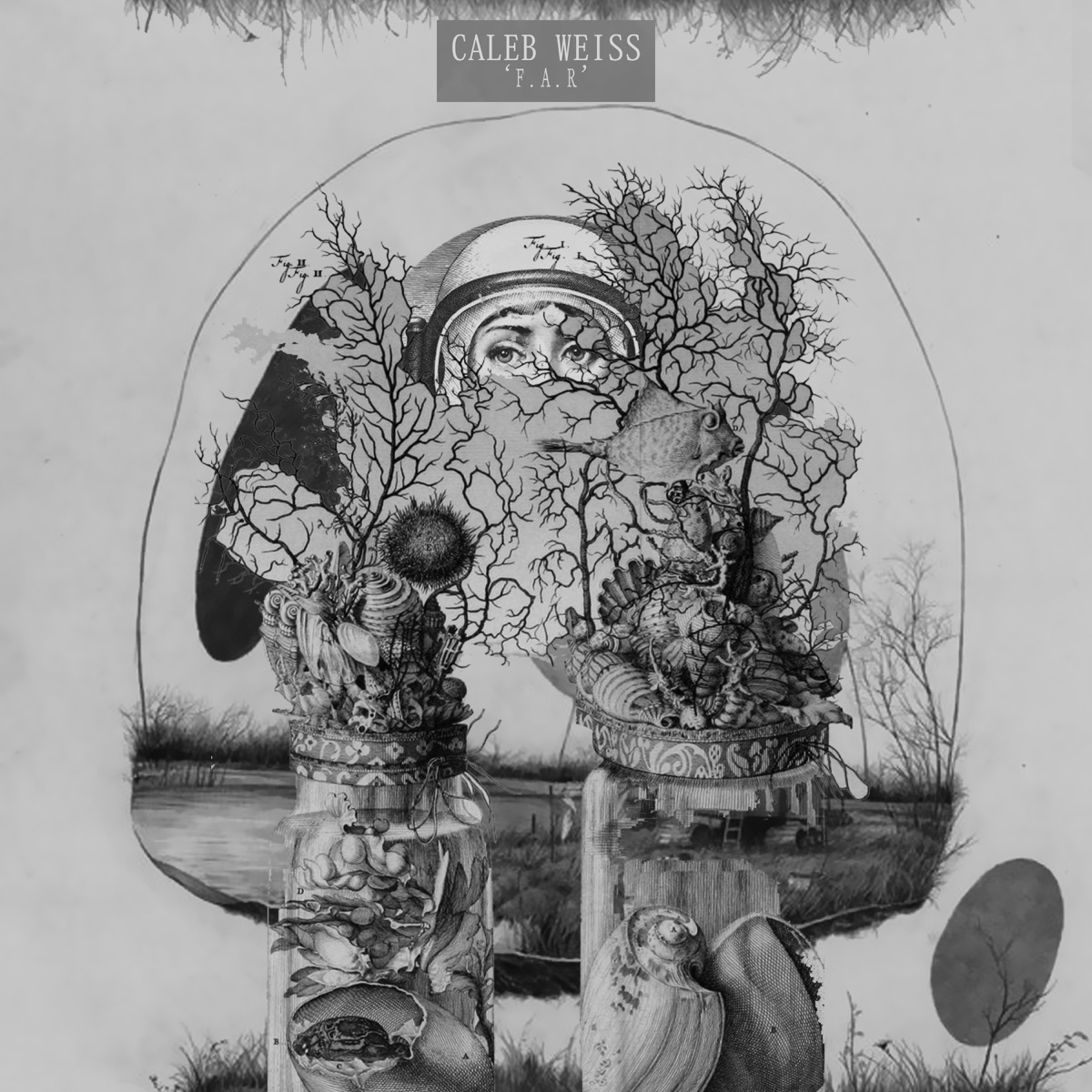 F.A.R - EP by Caleb Weiss album cover