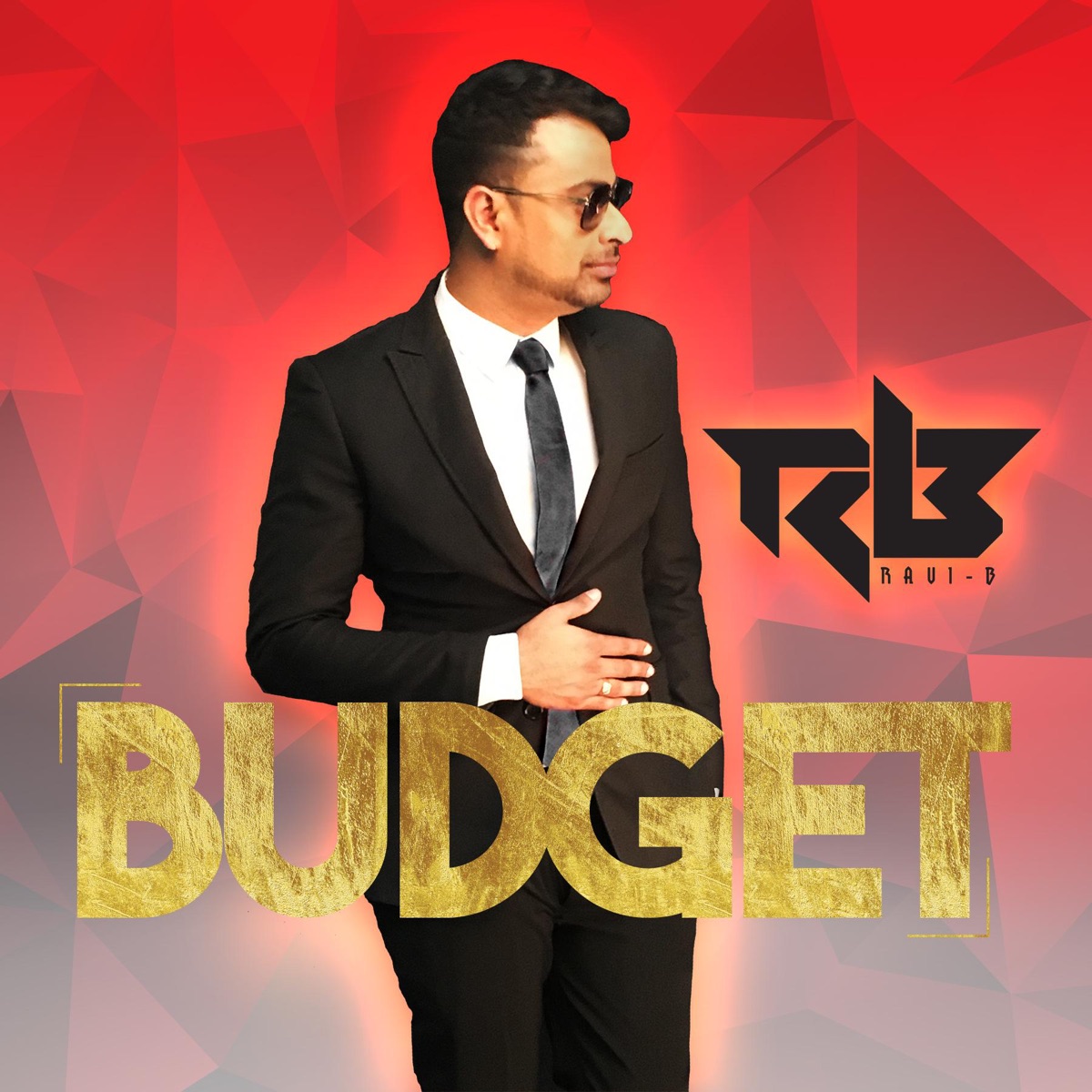 Budget - Single by Ravi B album cover