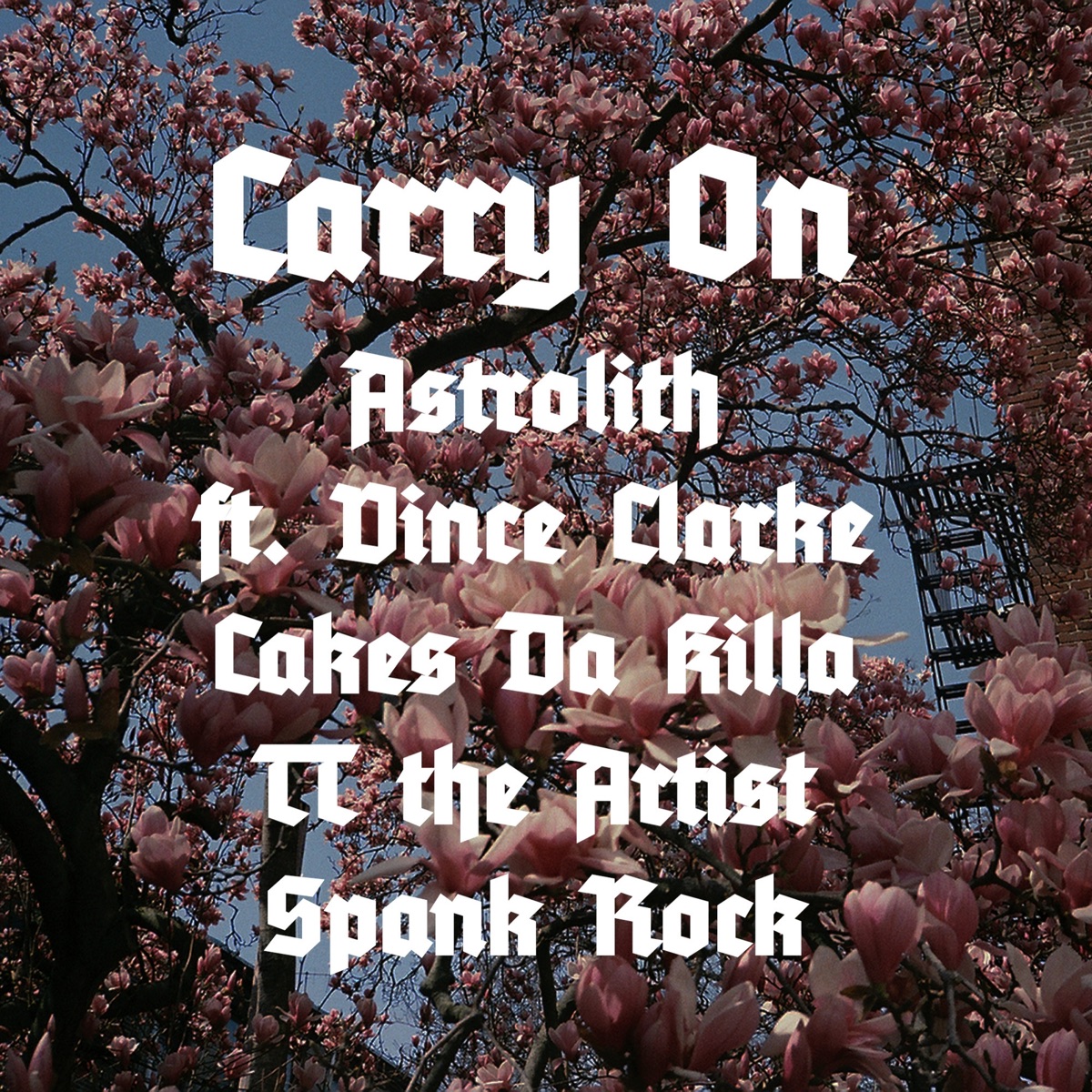 Carry On (feat. Cakes Da Killa, TT the Artist, Spank Rock & Vince Clarke) - Single by Astrolith album cover