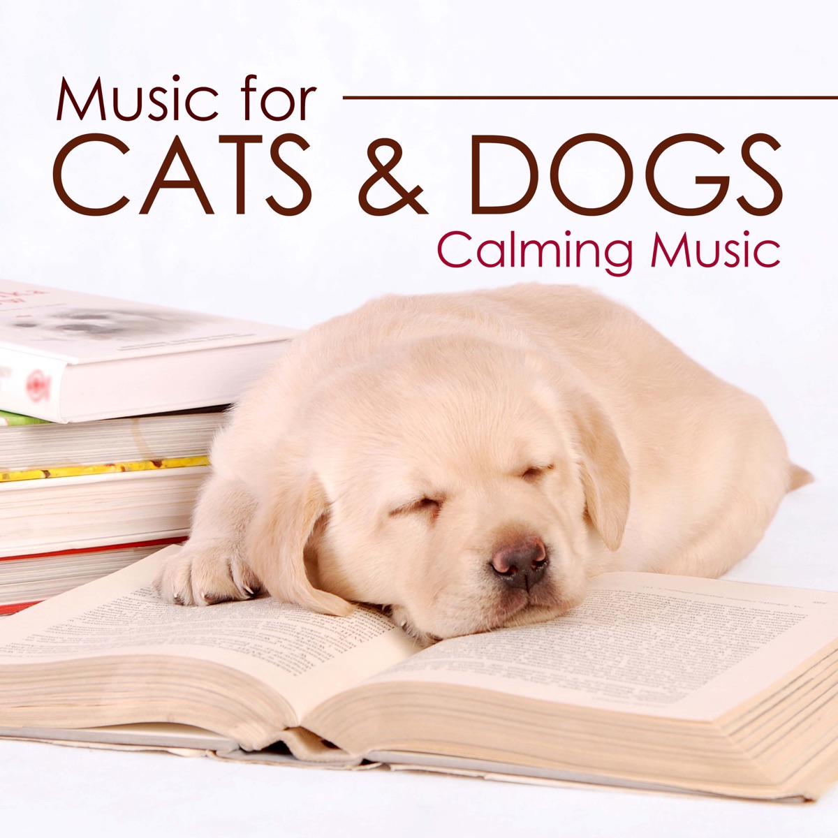 Music for Cats and Dogs - Calming Music for your Pets by Namaste & Zen Music Garden album cover