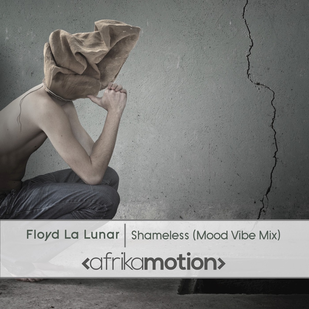Shameless (Mood Vibe Mix) - Single by Floyd La Lunar album cover
