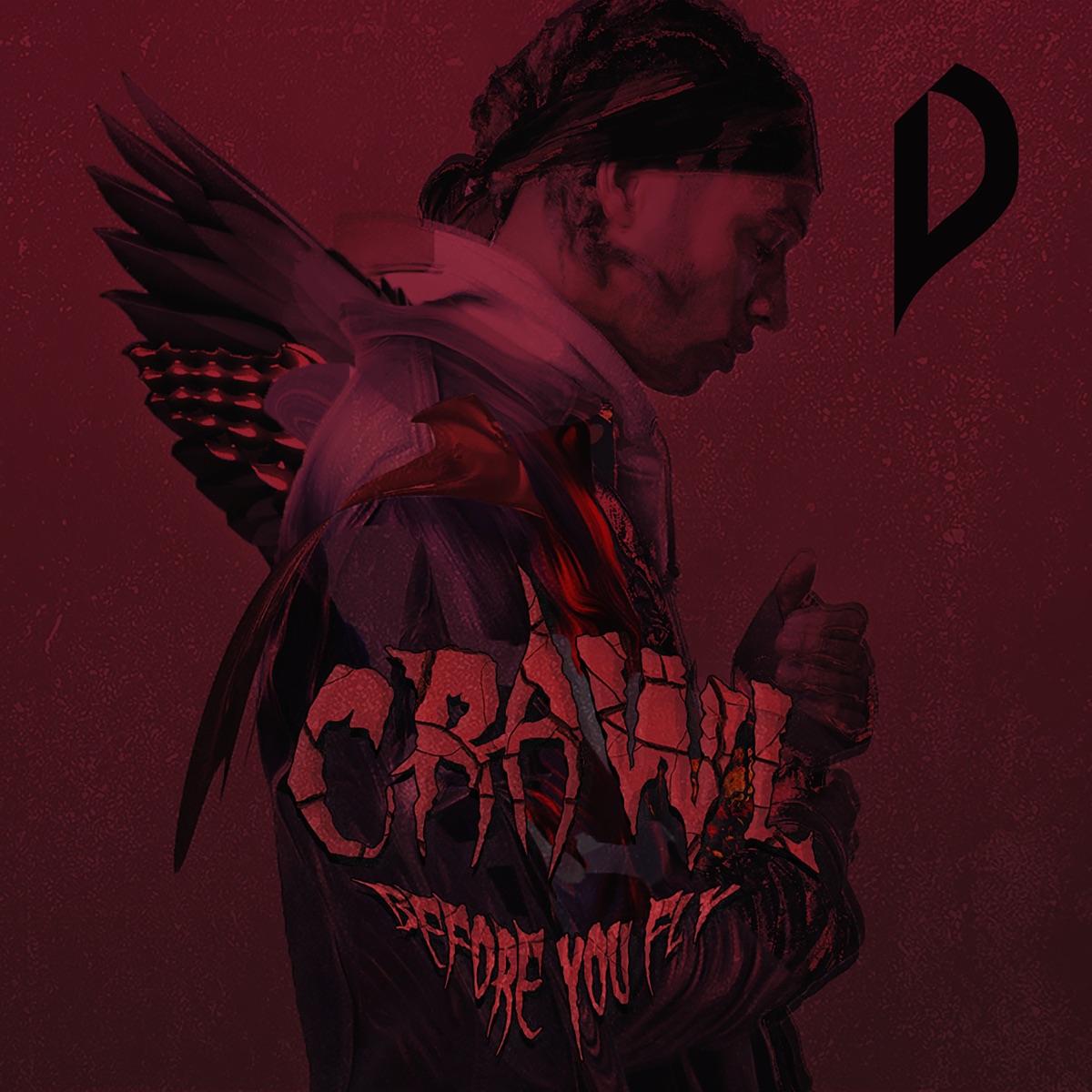 Crawl Before You Fly by Dreamon album cover